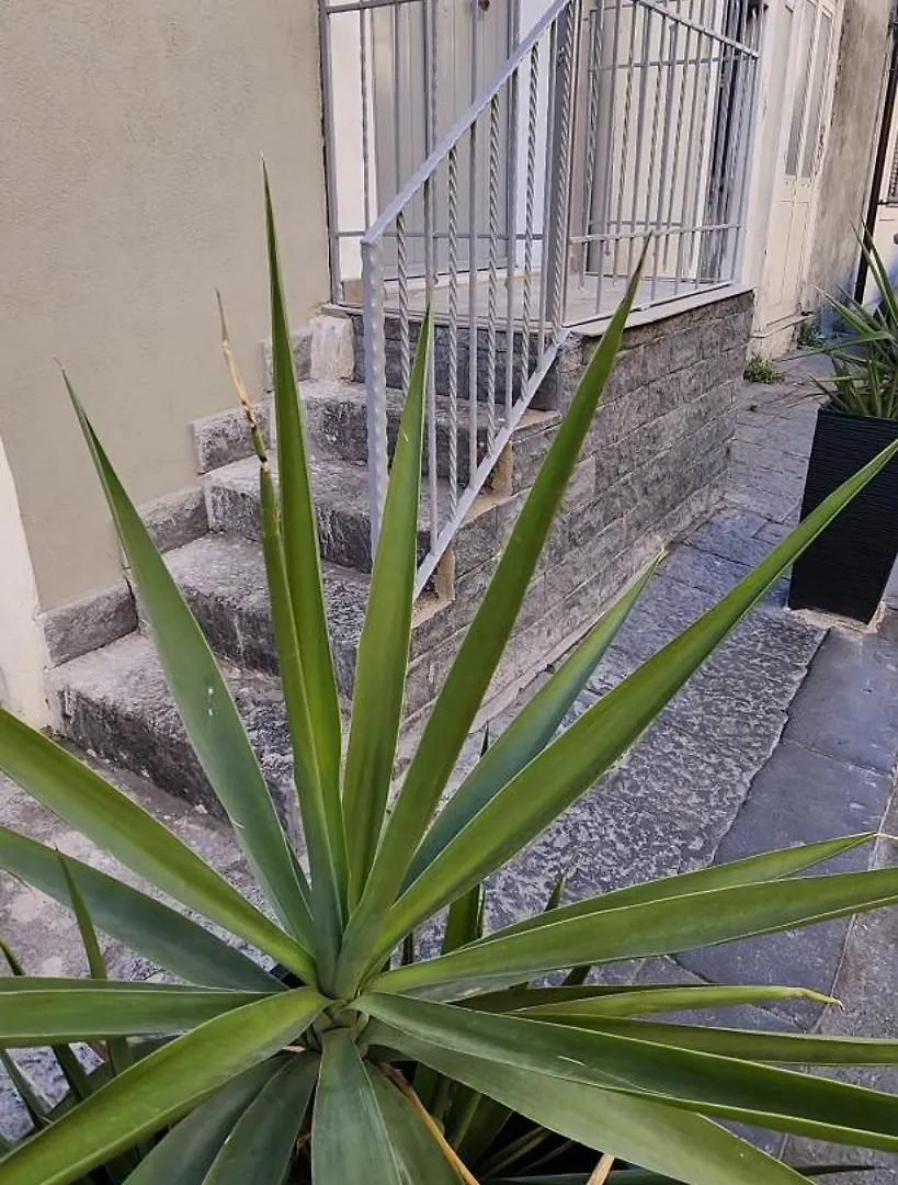Alkimia House Apartment Catania